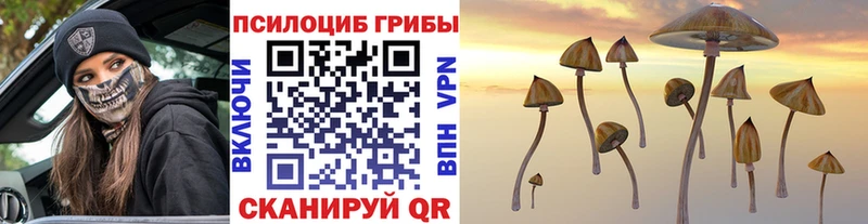 Псилоцибиновые грибы прущие грибы  Купить закладки  Кондопога 